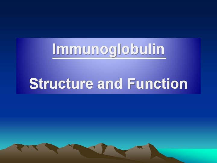 Immunoglobulin Structure and Function 