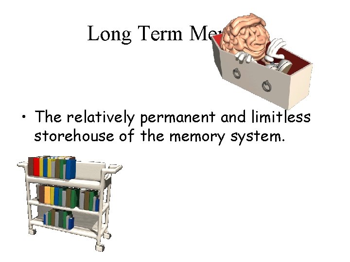 Long Term Memory • The relatively permanent and limitless storehouse of the memory system.