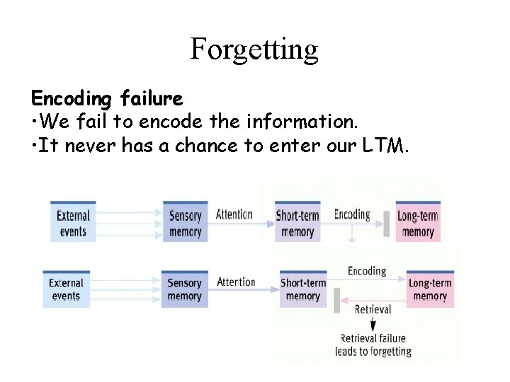 Forgetting Encoding failure • We fail to encode the information. • It never has