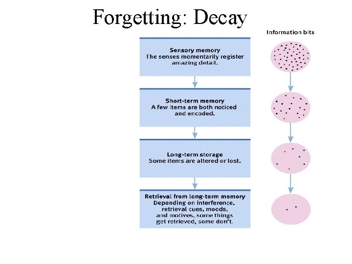 Forgetting: Decay 