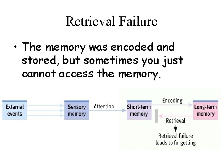 Retrieval Failure • The memory was encoded and stored, but sometimes you just cannot