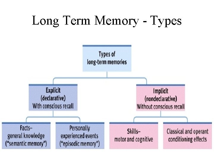 Long Term Memory - Types 