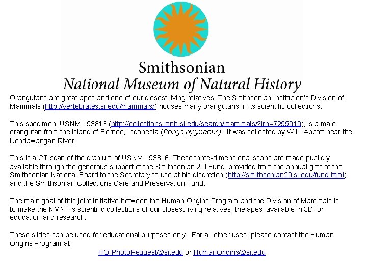 Orangutans are great apes and one of our closest living relatives. The Smithsonian Institution’s Orangutans are great apes and one of our closest living relatives. The Smithsonian Institution’s