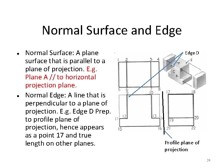 Normal Surface and Edge Normal Surface: A plane surface that is parallel to a