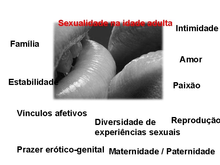 Sexualidade na idade adulta Intimidade Família Amor Estabilidade Vínculos afetivos Paixão Reprodução Diversidade de