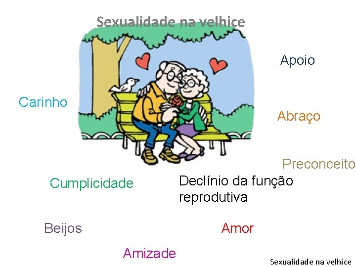 Sexualidade na velhice Apoio Carinho Abraço Cumplicidade Beijos Preconceito Declínio da função reprodutiva Amor