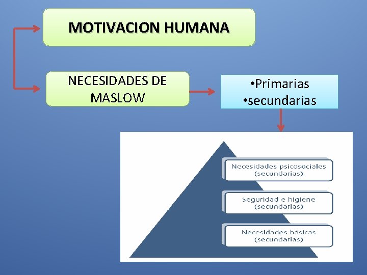 MOTIVACION HUMANA NECESIDADES DE MASLOW • Primarias • secundarias 