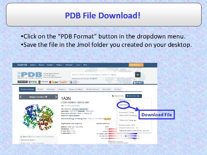 PDB File Download! • Click on the “PDB Format” button in the dropdown menu.