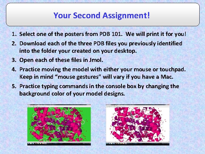 Your Second Assignment! 1. Select one of the posters from PDB 101. We will