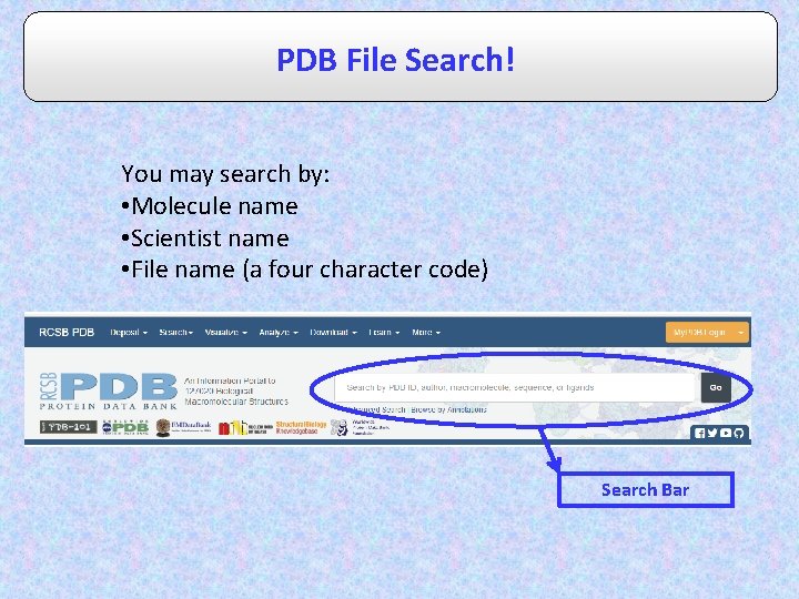 PDB File Search! You may search by: • Molecule name • Scientist name •