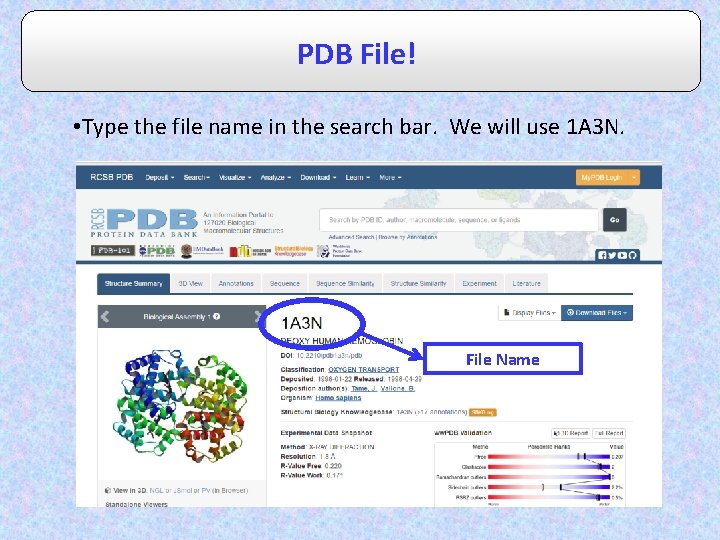 PDB File! • Type the file name in the search bar. We will use