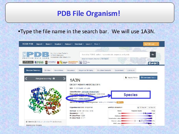 PDB File Organism! • Type the file name in the search bar. We will