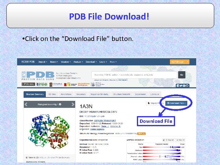 PDB File Download! • Click on the “Download File” button. Download File 