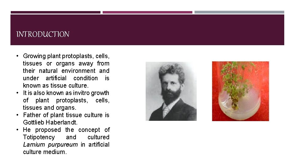 INTRODUCTION • Growing plant protoplasts, cells, tissues or organs away from their natural environment