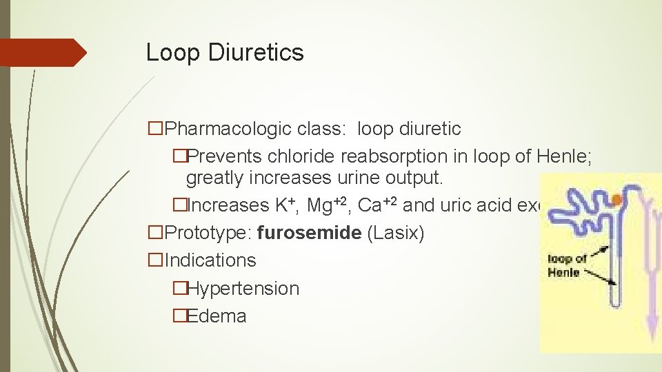 Loop Diuretics �Pharmacologic class: loop diuretic �Prevents chloride reabsorption in loop of Henle; greatly