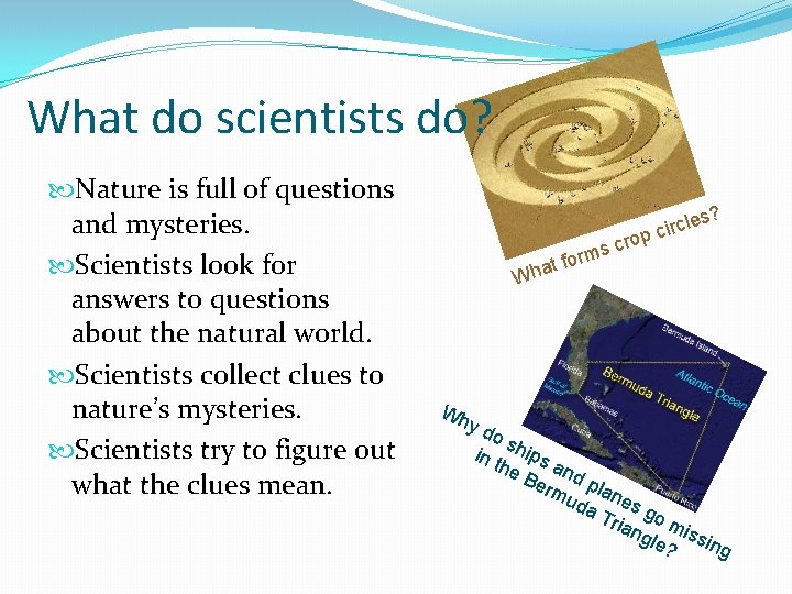 What do scientists do? Nature is full of questions and mysteries. Scientists look for