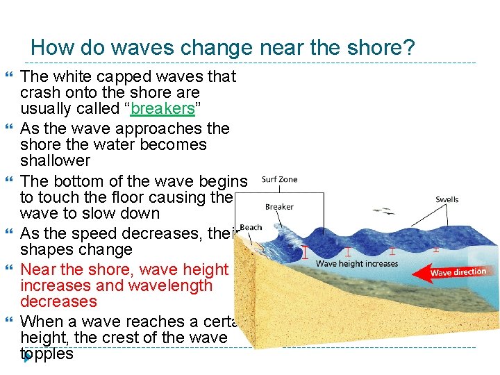 How do waves change near the shore? The white capped waves that crash onto