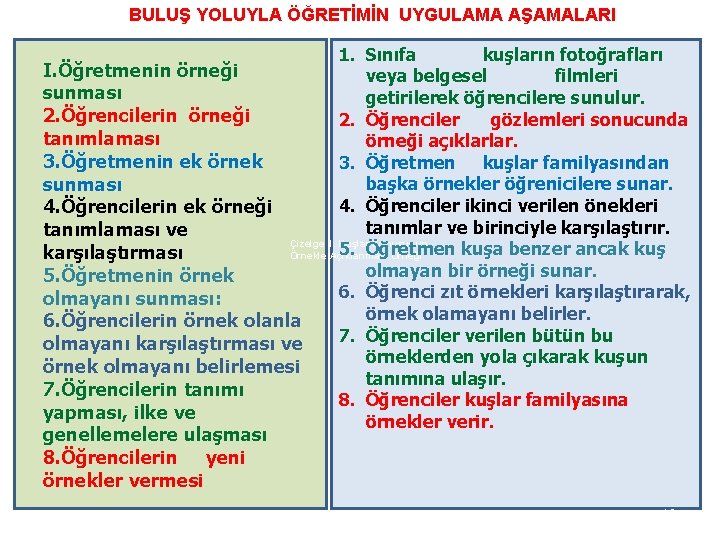 BULUŞ YOLUYLA ÖĞRETİMİN UYGULAMA AŞAMALARI 1. Sınıfa kuşların fotoğrafları I. Öğretmenin örneği veya belgesel