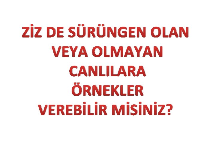 ZİZ DE SÜRÜNGEN OLAN VEYA OLMAYAN CANLILARA ÖRNEKLER VEREBİLİR MİSİNİZ? 