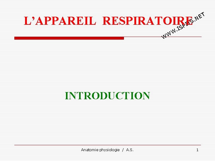 T E. N L’APPAREIL RESPIRATOIRE TS I SP I . W WW INTRODUCTION Anatomie