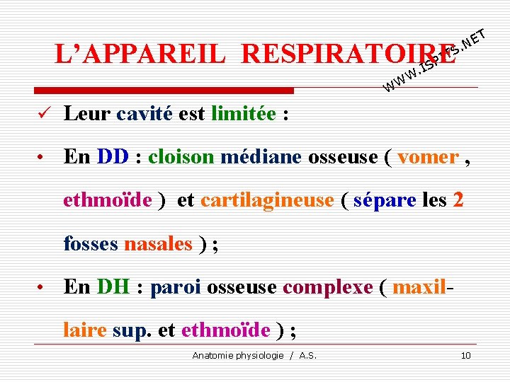 T E. N TS I L’APPAREIL RESPIRATOIRE P. IS W W W ü Leur