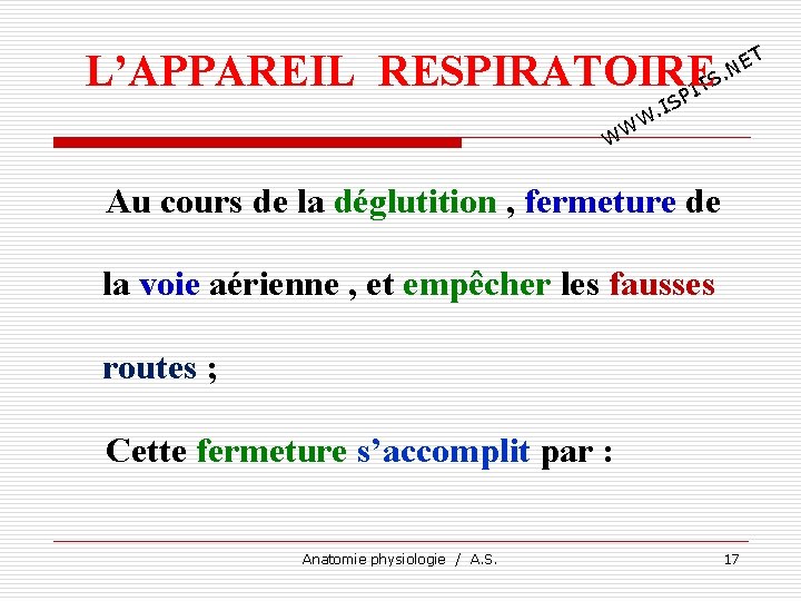 L’APPAREIL RESPIRATOIRE TS I P T E. N IS. W W W Au cours