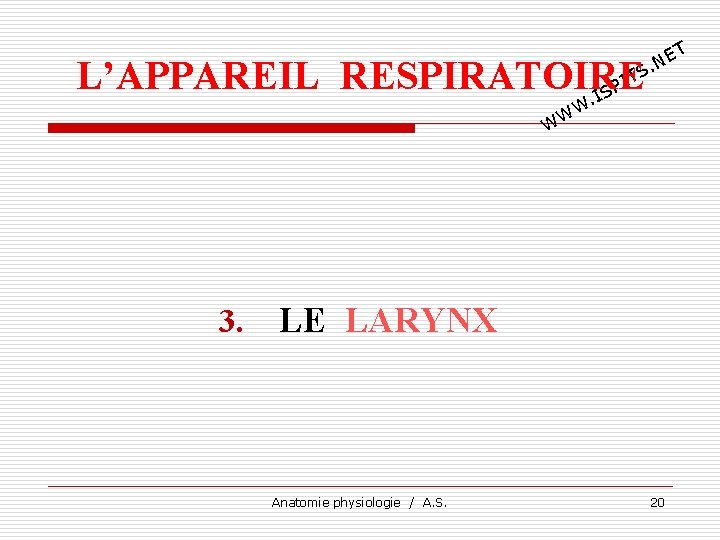 T E. N TS I L’APPAREIL RESPIRATOIRE P. IS W W W 3. LE