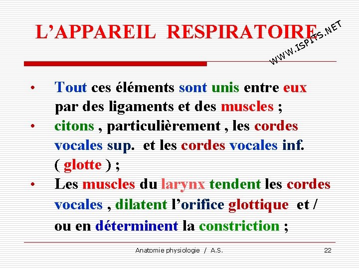 L’APPAREIL RESPIRATOIRE TS I P T E. N IS. W W W • •