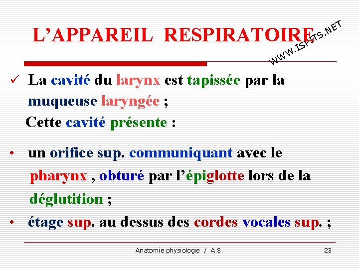 T E. N L’APPAREIL RESPIRATOIRE TS I SP I . W WW ü La