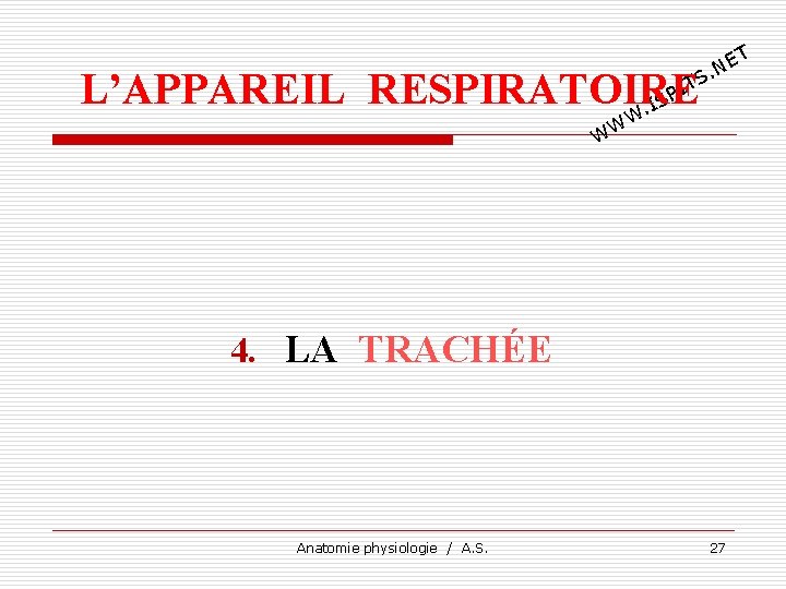 L’APPAREIL RESPIRATOIRE. IS S W W W T PI 4. LA TRACHÉE Anatomie physiologie