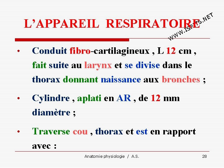 T E. N TS I L’APPAREIL RESPIRATOIRE P. IS W W W • Conduit