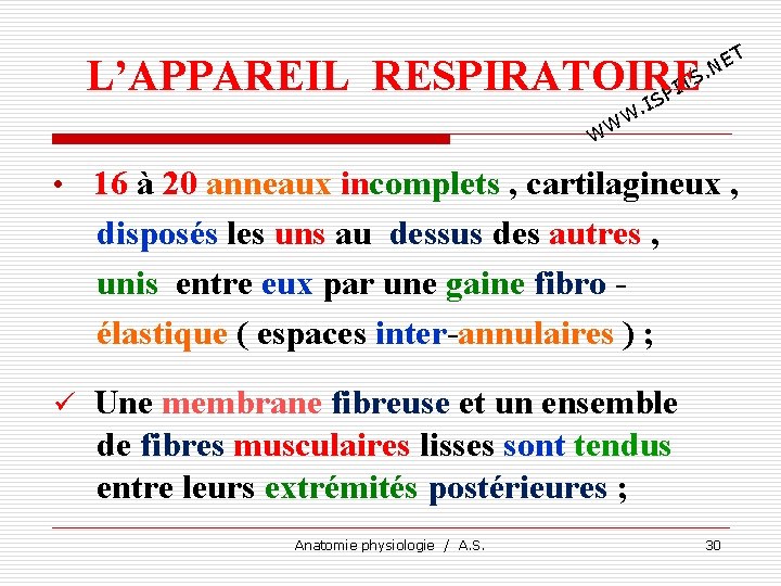 T E. N L’APPAREIL RESPIRATOIRE TS I SP I . W WW • 16