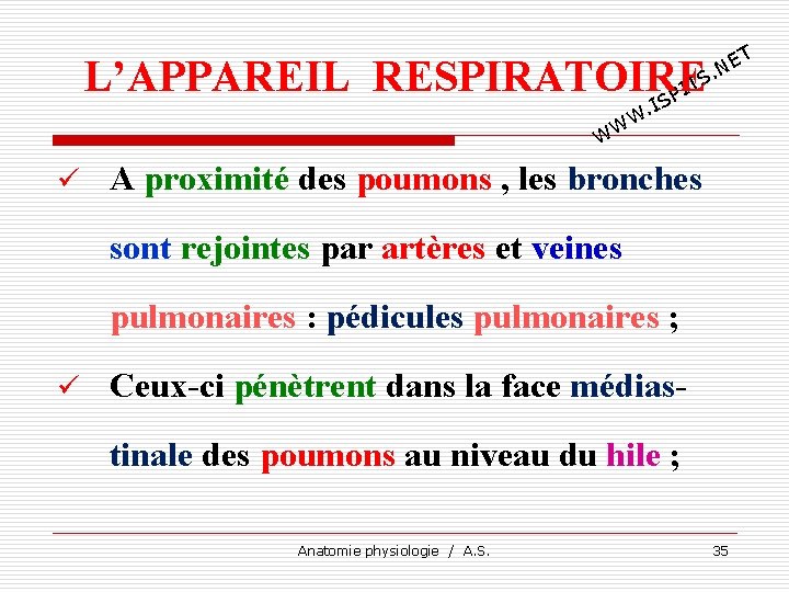 T E. N L’APPAREIL RESPIRATOIRE TS I SP I . W WW ü A