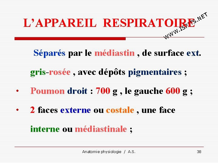 T E. N TS I L’APPAREIL RESPIRATOIRE P. IS W W W Séparés par