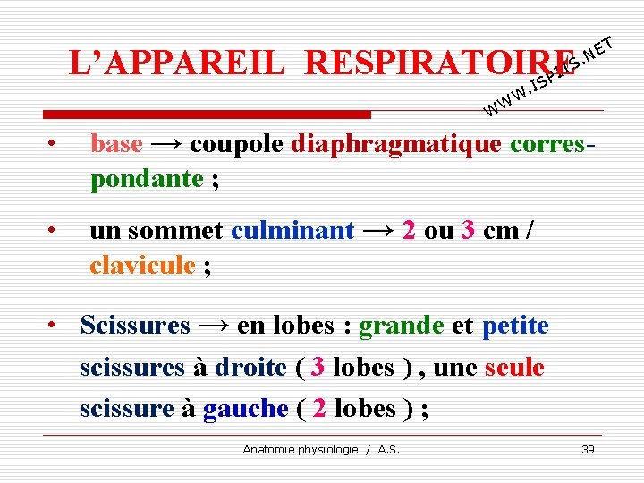 T E. N L’APPAREIL RESPIRATOIRE TS I SP I . W WW • base