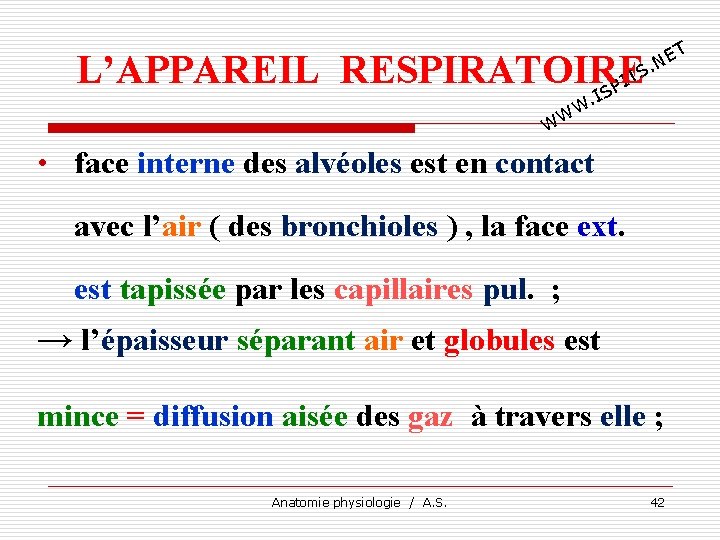 T E. N L’APPAREIL RESPIRATOIRE TS I SP I . W WW • face