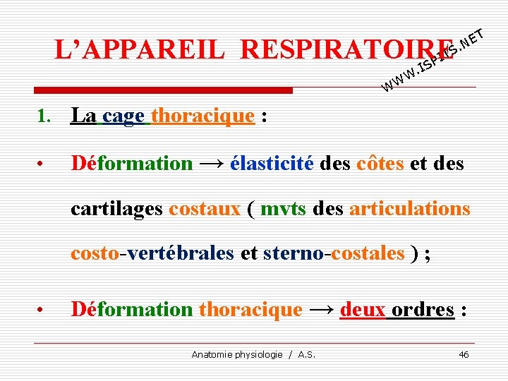 T E. N L’APPAREIL RESPIRATOIRE TS I SP I . W WW 1. La