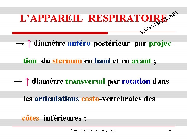 T E. N L’APPAREIL RESPIRATOIRE TS I SP I . W WW → ↑