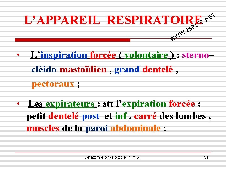 L’APPAREIL RESPIRATOIRE TS I P T E. N IS. W W W • L’inspiration