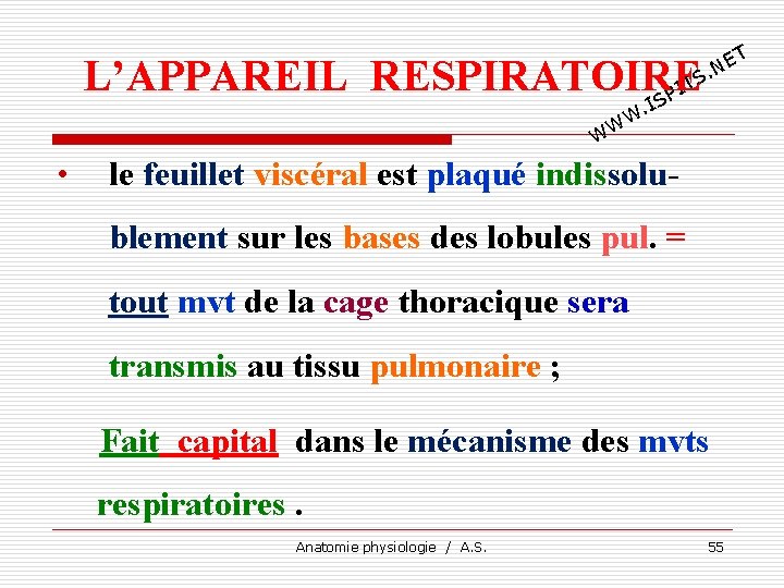 T E. N L’APPAREIL RESPIRATOIRE TS I SP I . W WW • le