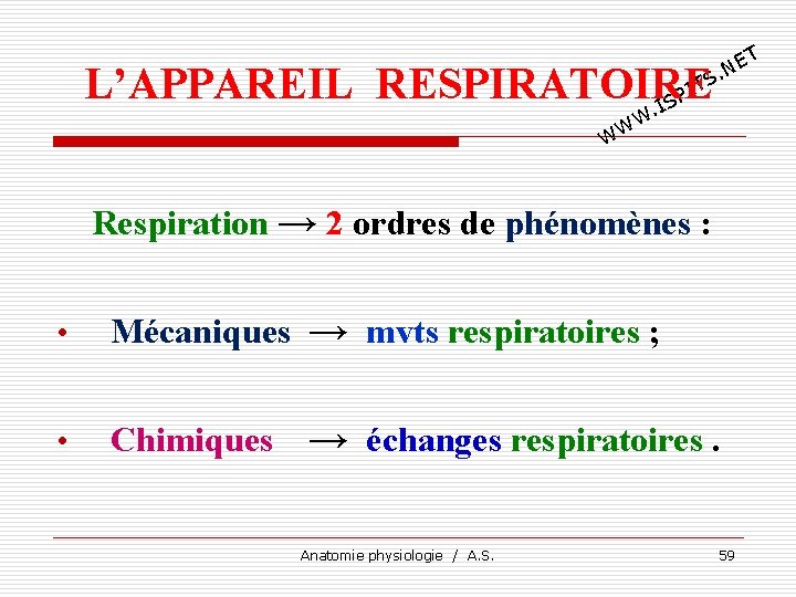 T E. N TS I L’APPAREIL RESPIRATOIRE P. IS W W W Respiration →