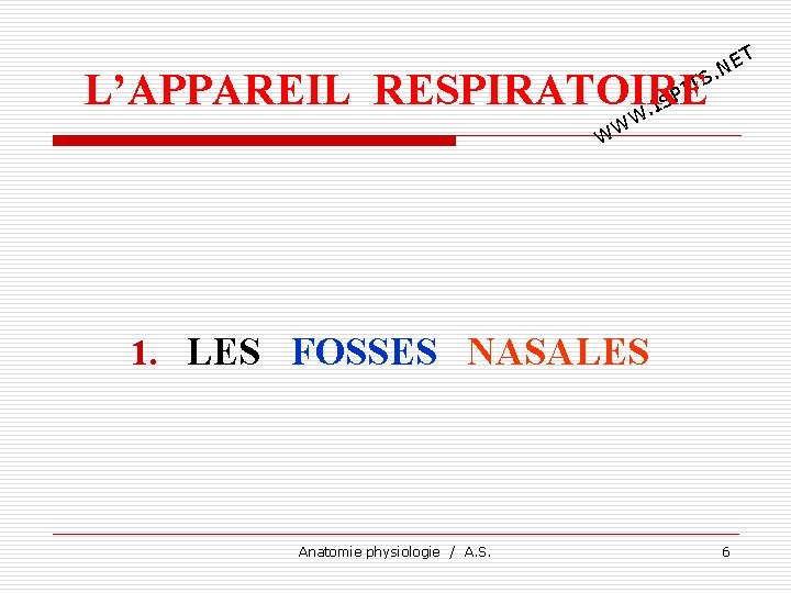 L’APPAREIL RESPIRATOIRE. IS T E. N S W W W T PI 1. LES