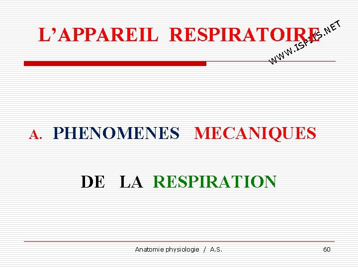 T E. N L’APPAREIL RESPIRATOIRE TS I SP I . W WW A. PHENOMENES