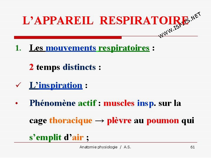 T E. N L’APPAREIL RESPIRATOIRE TS I SP I . W WW 1. Les