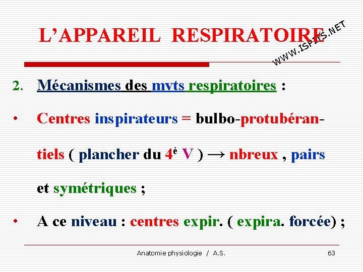 T E. N L’APPAREIL RESPIRATOIRE TS I SP I . W WW 2. Mécanismes