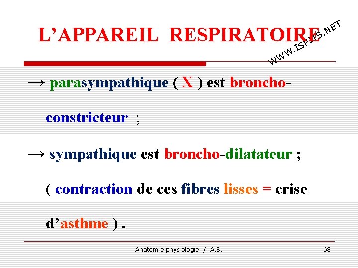 T E. N L’APPAREIL RESPIRATOIRE TS I SP I . W WW → parasympathique