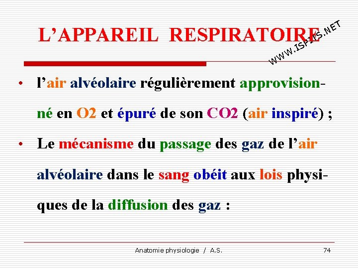 T E. N L’APPAREIL RESPIRATOIRE TS I SP I . W WW • l’air