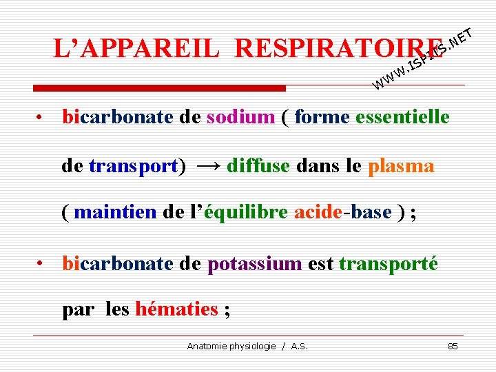 T E. N L’APPAREIL RESPIRATOIRE TS I SP I . W WW • bicarbonate