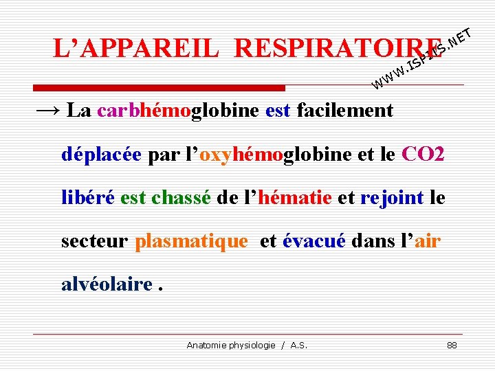 T E. N L’APPAREIL RESPIRATOIRE TS I SP I . W WW → La