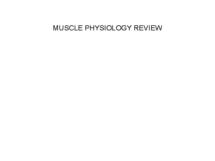 MUSCLE PHYSIOLOGY REVIEW MUSCLE PHYSIOLOGY REVIEW